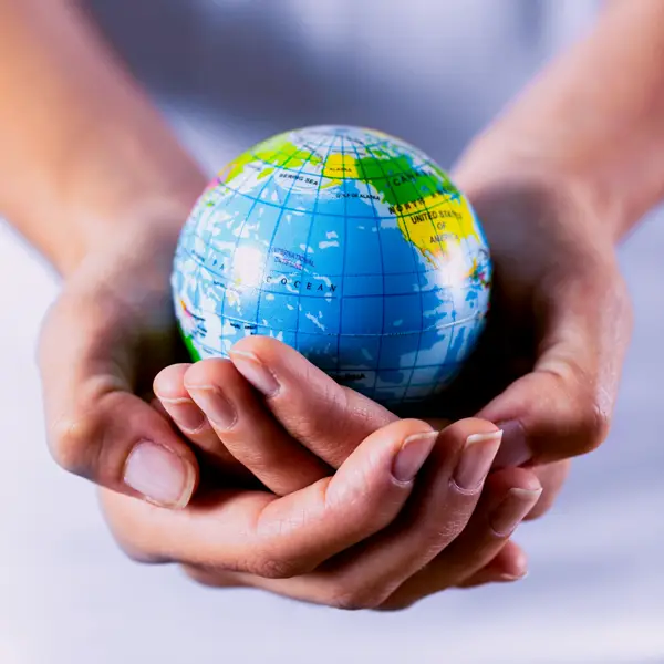 multinacional multicurrency multiproduct weecover